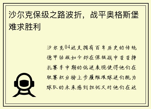 沙尔克保级之路波折，战平奥格斯堡难求胜利